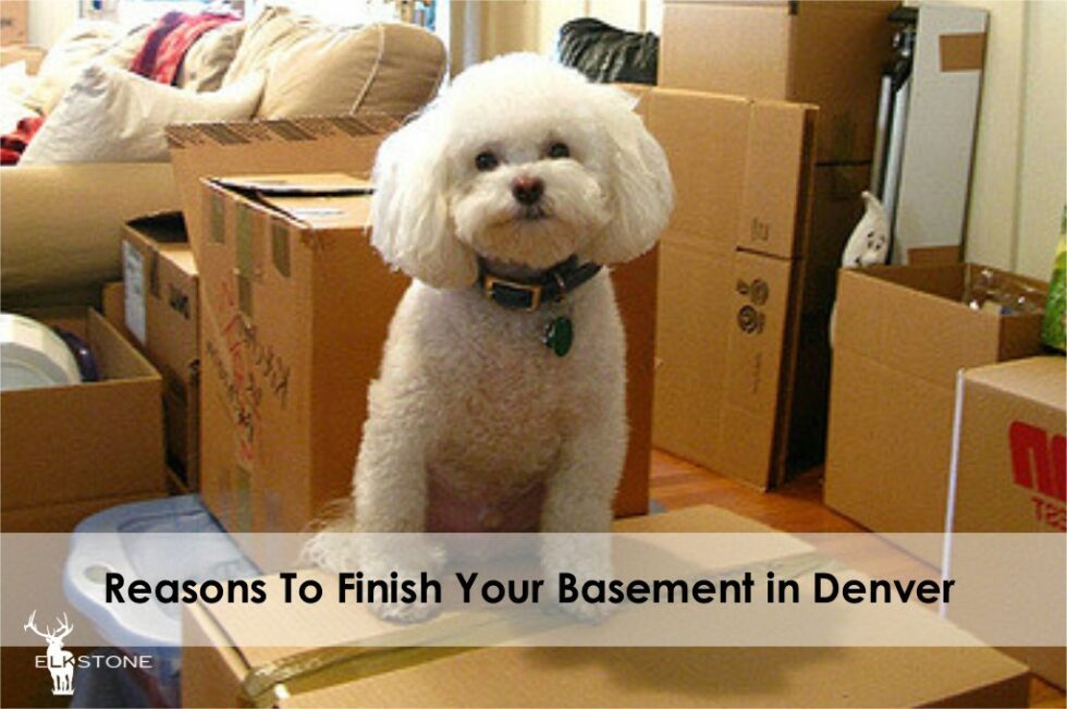 Reasons To Finish Your Basement in Denver ElkStone Basements